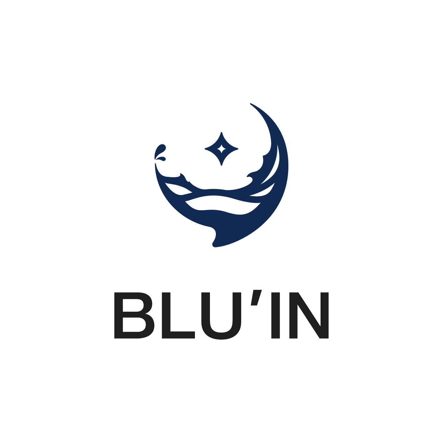 BLU'IN 로고